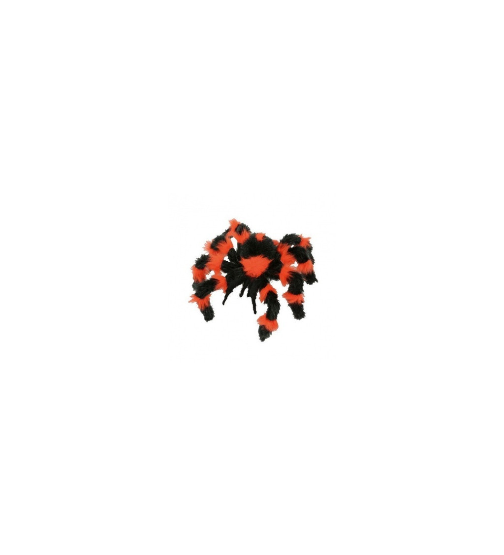 Černo-oranžový pavouk