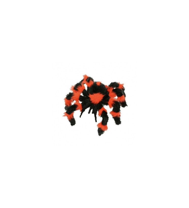Černo-oranžový pavouk